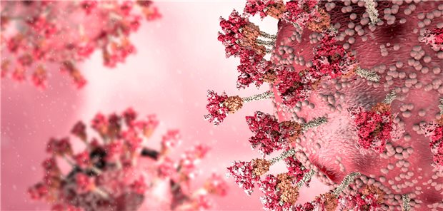 SARS-CoV-2 kann nicht nur humane Körperzellen, sondern auch Darmbakterien infizieren. Dadurch ist eine Antibiotika-Behandlung bei COVID-19 effektiv.