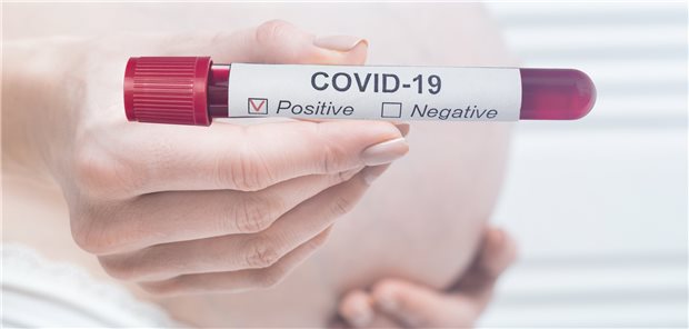 SARS-CoV-2-positiv: Die Kombi aus Nirmatrelvir und Ritonavir könnte eine Therapieoption für Schwangere mit einem erhöhten Risiko für einen schweren COVID-19-Verlauf sein.