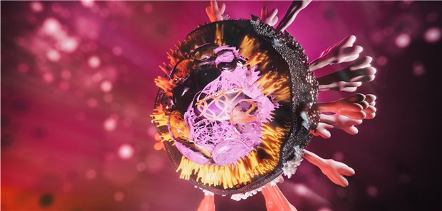 Tod nach erneuter Corona-Infektion ist seltene Ausnahme SARS-CoV-2 verändert sich – hat das Auswirkungen auf das Risiko von Reinfektionen?