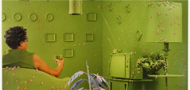 Kunst in den Zeiten von Aids Sandy Skoglund, Germs are everywhere, 1984.