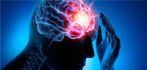 Schädel-Hirn-Trauma: Spezielle mesenchymale Stammzellen produzieren neurotrophe Faktoren sowie extrazelluläre Matrixproteine, welche beschädigte Zellen unterstützen.