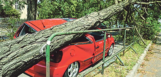 Nach dem Sturm hagelt es Anträge Schäden durch umgestürzte Bäume sind in der Regel durch die Wohngebäudeversicherung abgesichert - wenn der Sturm stark genug war.
