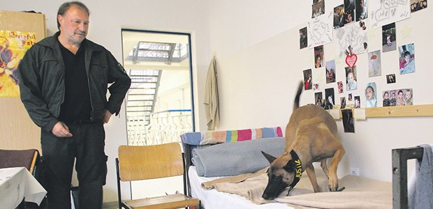 Suche nach Drogen - Alltag im Knast Schäferhunde finden schnell Drogen in Justizanstalten. Suchtkranke erhalten dort jedoch zu wenig Hilfe.