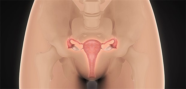 Entwarnung für vaginale Östrogenanwendung Scheidentrockenheit mit Brennen und Jucken sind typische Beschwerden in der Menopause, gegen die u.a. hormonhaltige Salben eingesetzt werden.