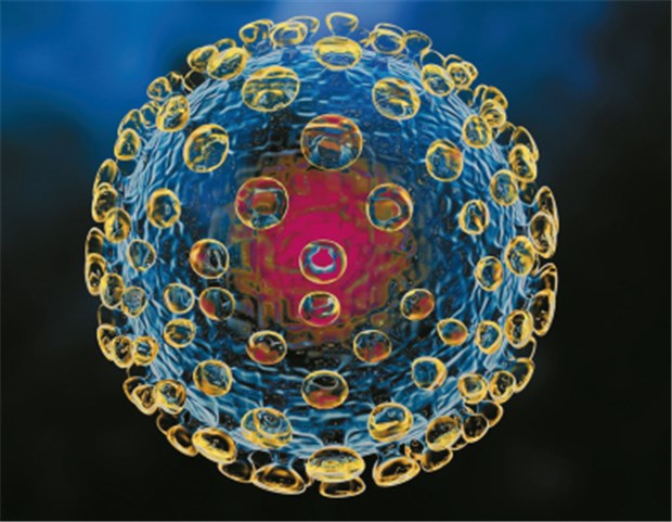 "Es wird viele Pandemiewellen geben" Schema eines Influenza-Virus. Die spikeartige Oberfläche der Viren wird von den Proteinen Hämagglutinin und Neuraminidase gebildet.