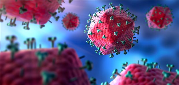 Schematische Darstellung des HI-Virus