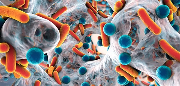 Zahl der MRSA-Infizierten in Deutschland rückläufig Schematische Darstellung eines Biofilms mit Antibiotika-resistenten Bakterien: Während die Zahl von MRSA-Patienten abnimmt, steigt die Zahl der Fälle von multiresistente gramnegative Erregern anscheinend an.