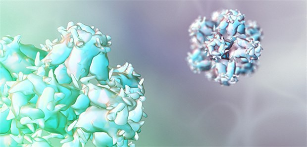 Viren im Kleinhirn lösen wohl Depressionen aus Schematische Darstellung eines Herpes-Virus. Verschiedene Varianten könnten Einfluss auf die psychische Gesundheit haben, so eine Studie.