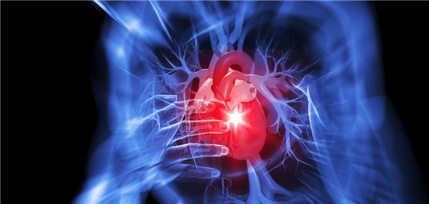 Schematische Darstellungen eines Herzens.