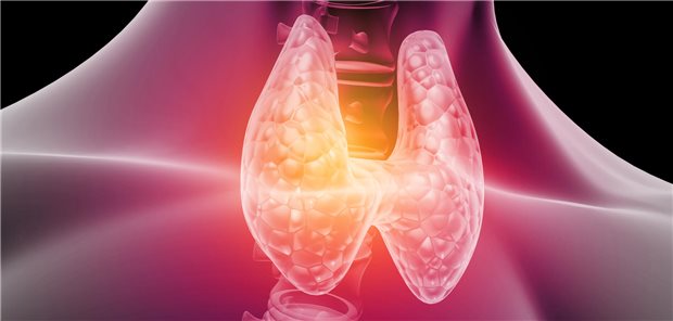 Schilddrüse im Focus: Sind Operation und Radiojodtherapie bei Hyperthyreose-Patienten mit hohem kardiovaskulären Risiko die besseren Therapieoptionen? Eine neue Studie deutet darauf hin.