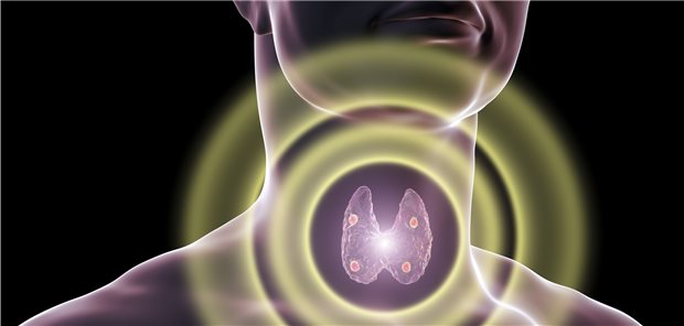 Schilddrüse im Mittelpunkt: Kann ein Zuviel oder Zuwenig an freigesetzten Schilddrüsenhormonen über eine Dysregulation von Schlüsselgenen Einfluss auf das metabolische Gleichgewicht und die Insulinsensitivität haben?