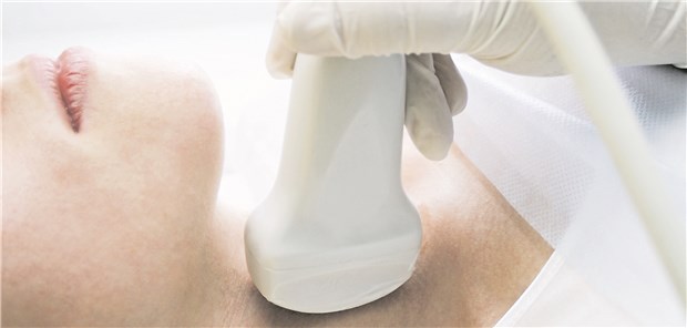 Schilddrüsen-Sonografie: Bei Hashimoto-Thyreoiditis ist echoarmes Parenchym mit verminderter Vaskularisierung ein typischer Befund.