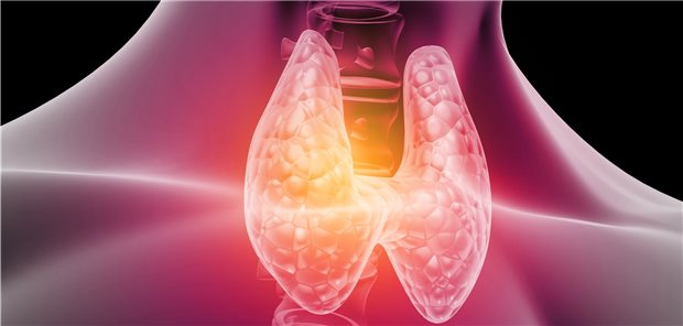 Schilddrüsenerkrankungen können aufgrund des Geschlechts unterschiedlich ausfallen. 