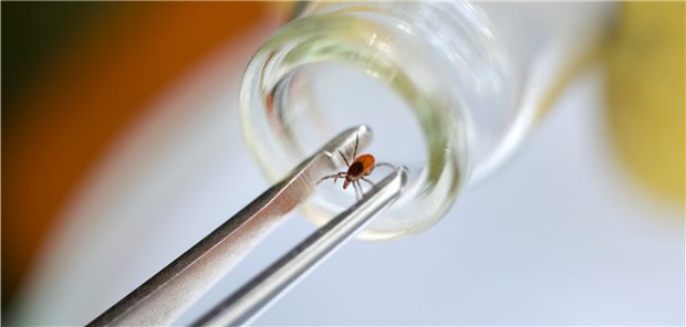 Schildzecken sind ab einer Lufttemperatur von 6°C aktiv und werden durch CO2 angelockt.