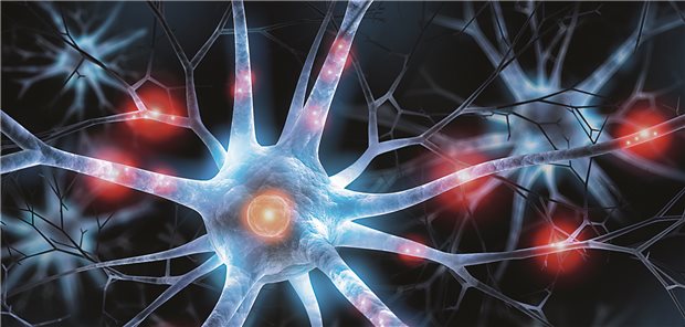 Schmerzen haben viele Wurzeln, sie zu finden und zu therapieren, ist bei PAIN 2.0 eine interdisziplinäre Aufgabe.
