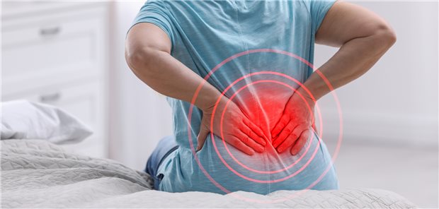 Schmerzen im unteren Rücken: Unter einer kognitiven Funktionstherapie mit und ohne Biofeedback waren in einer Studie schmerzbedingte Aktivitätseinschränkungen stärker gebessert als unter Standardtherapie.&#xA;
