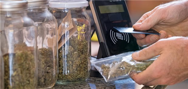 Schmerztherapie mit Cannabis: Noch fehlen wissenschaftliche Daten zur Indikationsstellung.