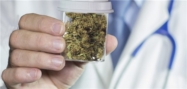 Schneller Zugang zur THC-Medizin via Dr. Online? Die Gesundheitsminister der Länder wollen sich damit nicht anfreunden.