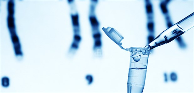 DNA trotzt Seife Schon aus winzigen Spuren lassen sich DNA-Prrofile gewinnen, betonen Rechtsmediziner.