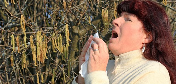 Wieso Pollen den Menschen immer mehr zu schaffen machen Eine Frau niest.