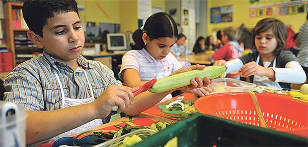 Startbereit für die Praxis? Schüler lernen gesunde Ernährung: Ab 2016 soll Prävention mehr Menschen in ihrer Lebenswelt erreichen.