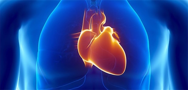 Häufig fehlt der Betablocker Schützen Betablocker vor COPD-Exazerbationen?