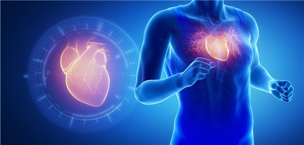 Sport schützt das Herz? Nicht in kontrollierten Studien Schützt Sport wirklich das Herz? Das ist in Studien offenbar nicht so einfach nachzuweisen.