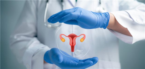 Schutz für die Zervix: Durch Zervixkarzinom-Screening und HPV-Impfung sinken die Inzidenzen für zervikale intraepitheliale Neoplasien.