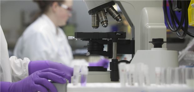 NRW regelt die Kostenübernahme für die vertrauliche Spurensicherung Scientist analyzing stem cell sample in a laboratory