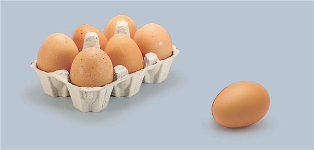 Sechs Eier im Karton und ein einzelnes daneben.