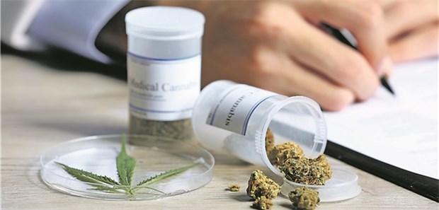 Kosten sorgen für Gerangel Seit März 2017 ist Cannabis eine Therapieoption bei Patienten mit schweren Erkrankungen.