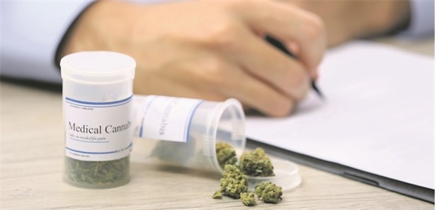 Ärzte registrieren erhöhte Nachfrage Seit März dieses Jahres kann Cannabis leichter auf Rezept verordnet werden.