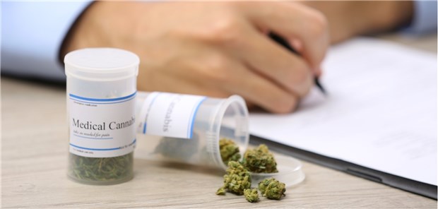 Cannabis-Report lässt die Blütenträume platzen Seit einem Jahr können Ärzte Cannabis auf Kassenkosten verordnen.