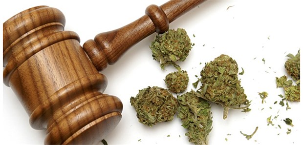 Cannabis als Medizin – Kassenleistung statt Kulturkampf Seit knapp einer Woche gibt es nun eine rechtliche Grundlage für den künftigen Umgang mit Cannabis als Medizin.