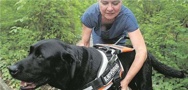 Die erblindete Silke Rauterberg nimmt ihrem Blindenhund der Rasse Labrador das Geschirr ab.