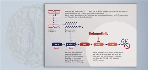 Selumetinib ist ein Inhibitor von MEK 1/2 und hemmt so die bei NF1 überaktivierte Ras-Signaltransduktion. So verhindert es eine übermäßige Zellproliferation.&#xA;