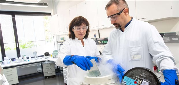 Setzen auf Abwehrzellen gegen die tödliche Hirninfektion PML: Professorin Britta Eiz-Vesper und Professor Thomas Skripuletz.