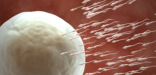Fernseher als Spermienkiller Sieht nach Sport aus.