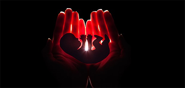 Die Kirche gegen Ärzte, Sozialdemokraten und Liberale Silhouette eines Embryos: Der Streit um das Werbeverbot von Schwangerschaftsabbrüchen schwelt weiter.