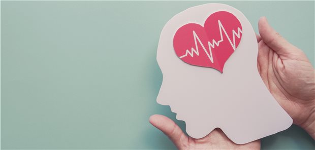 Sind Patienten nach einem Insult auch noch kardiovaskulär belastet, bedeutet das nichts Gutes für ihre Prognose.