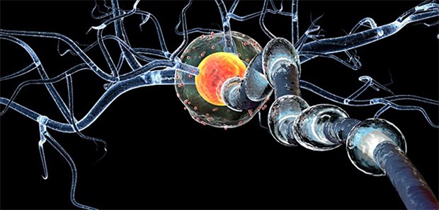 Hauttest spürt Parkinson auf Sind dopaminproduzierende Nervenzellen im Hirn geschädigt, kann es auf Dauer zu Parkinson kommen. Hilft ein einfacher Hauttest zukünftig bei der Diagnose?