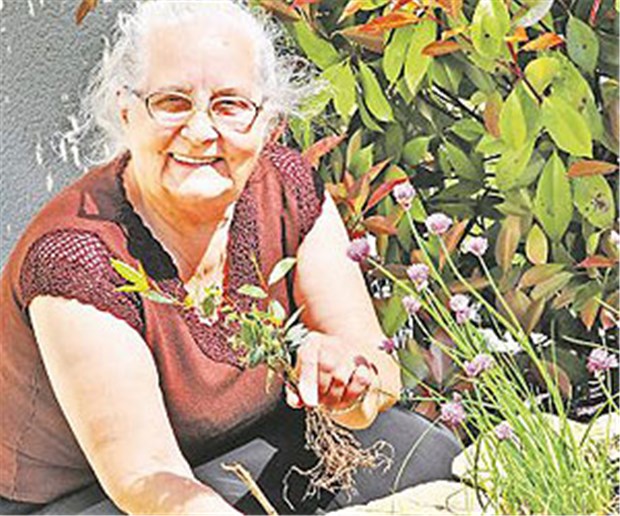 Lebenssinn verzögert geistigen Verfall Sinnvolle Tätigkeiten stärken die neuronale Reserve.