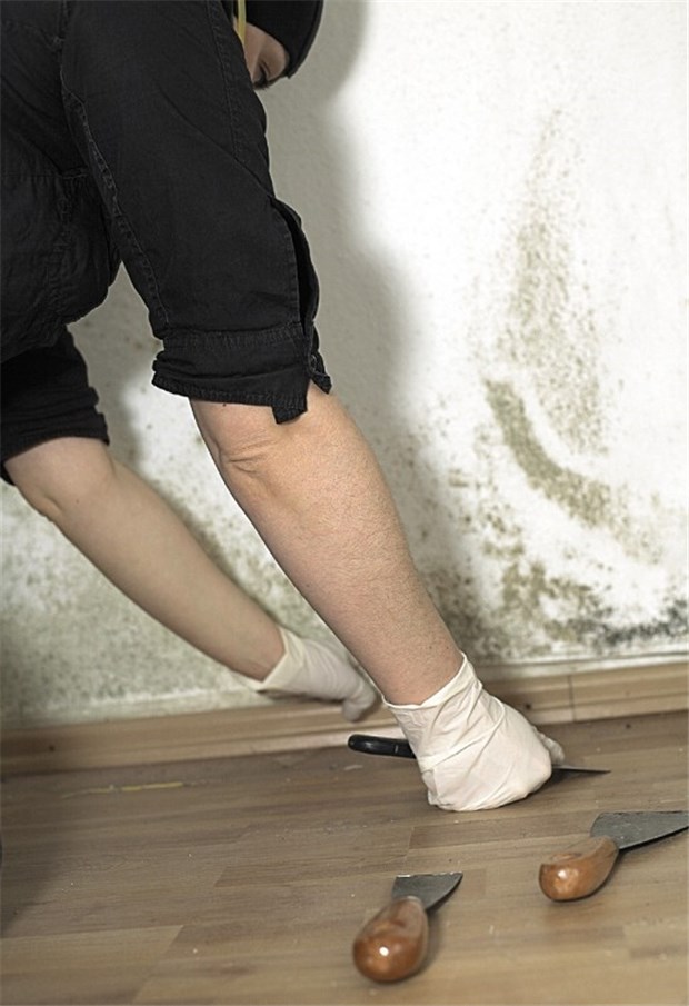 Schimmel ist ekelig und ein Gesundheitsrisiko So ist es richtig. Ist Schimmel an den Wänden, muss die Wohnung dringend saniert werden, vor allem zum Schutz der Kinder.