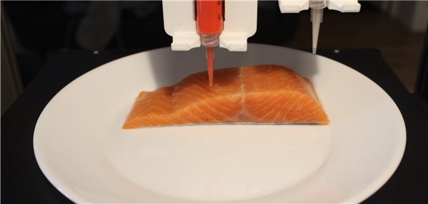 Fisch aus dem 3D-Drucker: Was steckt da drin? So sieht es aus, wenn der "Lachs" gedruckt wird.