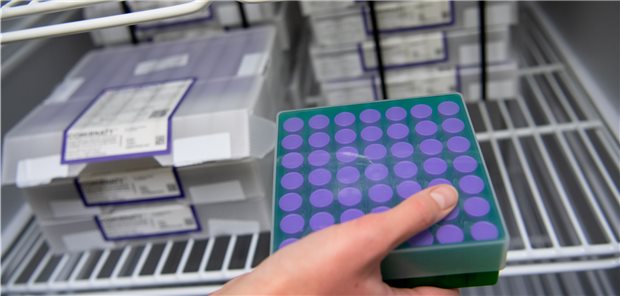 Hamburgs Hausärzte: Dann müssen viele Praxen aus dem Impfen aussteigen Ein Mitarbeiterin der Hilfsorganisation Malteser holt im Impfzentrum den Impfstoff von Biontech/Pfizer gegen das Coronavirus aus einem Kühlschrank