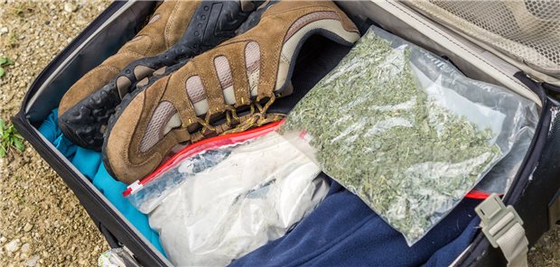 Cannabis in einem Koffer