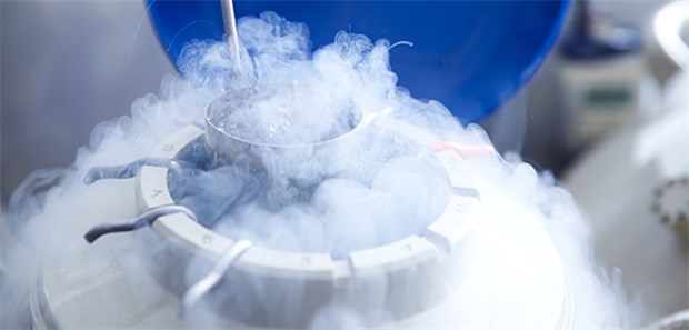 Deutsche finden „Social Freezing“ okay Social Freezing genießt in Deutschland Akzeptanz, so eine Umfrage der IKK Classic.