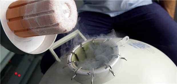 Social Freezing ist vor allem mit hohen Kosten verbunden, die die betroffenen Frauen meist selbst tragen müssen.
