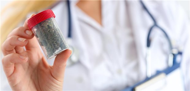 Eine Ärztin hält medizinisches Cannabis in der Hand