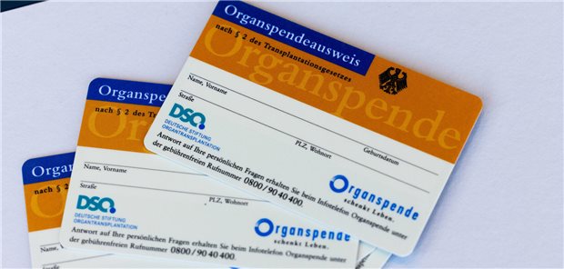 DTG und DSO bezweifeln großen Nutzen von Organspender-Register Organspendeausweise